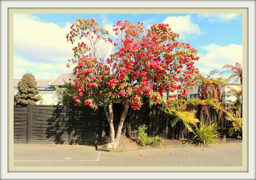 Victoria Lodge Rotorua Eksteriør billede